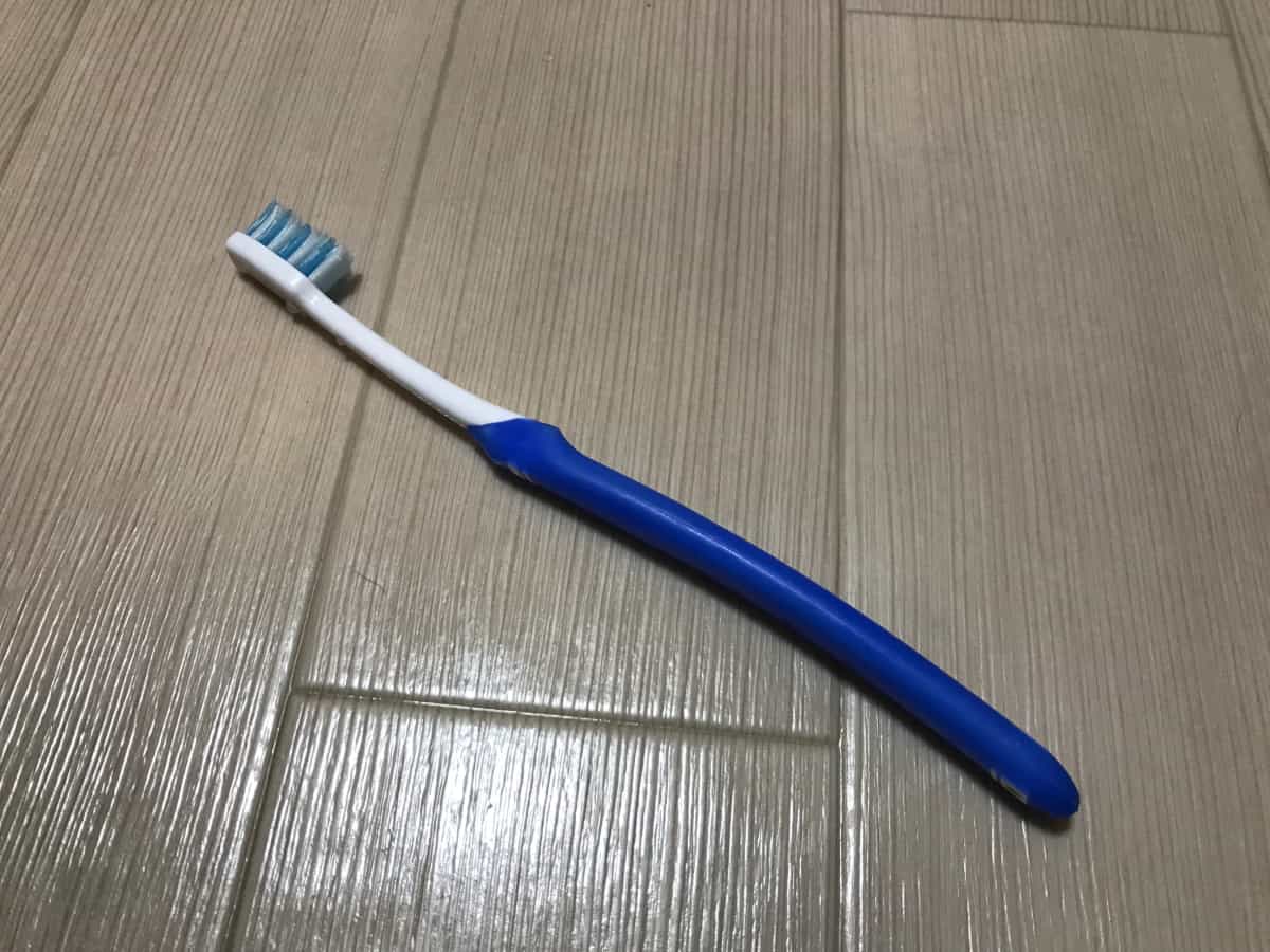 イタグレの歯磨きで使用する歯ブラシ